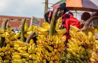 Tanzania has rescinded its ban on agricultural imports from South Africa and Malawi Tanzania has rescinded its ban on agricultural imports