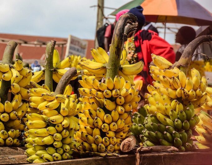 Tanzania has rescinded its ban on agricultural imports from South Africa and Malawi Tanzania has rescinded its ban on agricultural imports