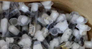 Belgian Teenagers Charged for Wildlife Piracy in Kenya After Arrest with 5,000 Ants Belgian Teenagers Charged for Wildlife Piracy in Kenya After Arrest with 5,000 Ants