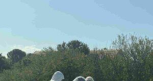 Hennops Horror: Five Bodies Found as Search for Missing Free State Officers Turns Deadly Hennops Horror: Five Bodies Found as Search for Missing Free State Officers Turns Deadly