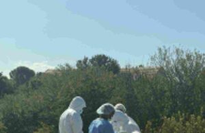 Hennops Horror: Five Bodies Found as Search for Missing Free State Officers Turns Deadly Hennops Horror: Five Bodies Found as Search for Missing Free State Officers Turns Deadly