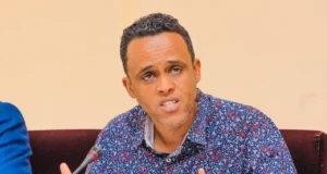 Agricultural Trade Dispute: Tanzania Plans to Prohibit Imports from Malawi and South Africa Agricultural Trade Dispute: Tanzania Plans to Prohibit Imports from Malawi and South Africa, (Agriculture Minister Hussein Bashe)