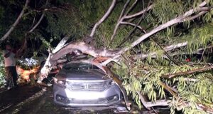 69 Killed from Thunderstorm: Deadly Lightning and Heavy Rain Ravage India and Nepal 69 Killed from Thunderstorm: Deadly Lightning and Heavy Rain Ravage India and Nepal