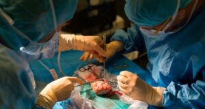 Pig Kidney Removed from Patient After 130 Days: Shocking Ending to Historic Breakthrough Pig Kidney Removed from Patient After 130 Days: Shocking Ending to Historic Breakthrough