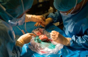 Pig Kidney Removed from Patient After 130 Days: Shocking Ending to Historic Breakthrough Pig Kidney Removed from Patient After 130 Days: Shocking Ending to Historic Breakthrough