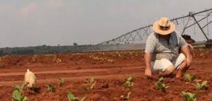 Zimbabwe Compensate White Farmers to Rebuild Global Ties Zimbabwe Compensate White Farmers: