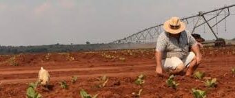 Zimbabwe Compensate White Farmers to Rebuild Global Ties Zimbabwe Compensate White Farmers: