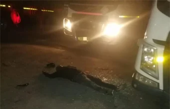 Truck Driver Fights Off Armed Robbers in Boksburg Night Attack