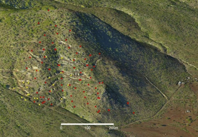 Mkango Resources unveils Songwe Hill project to supply Malawi’s neodymium and praseodymium oxides to Europe and North America. Mkango Resources announces the Songwe Hill project.