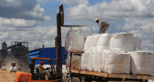 Zimbabwe, Africa’s leading lithium holder, to halt raw exports by 2027 and boost local processing. Zimbabwe, Africa’s leading lithium holder, to halt raw exports by 2027 and boost local processing.