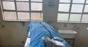 Public Outrage in Kenya After Autopsy Confirms Blogger Was Strangled While in Police Custody Public Outrage in Kenya After Autopsy Confirms Blogger Was Strangled While in Police Custody