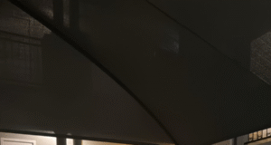 Notorious Mozambican Kidnapping Kingpin Killed in Shootout with South African Police Notorious Mozambican Kidnapping Kingpin Killed in Shootout with South African Police