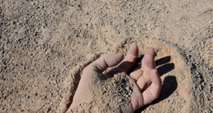 Unidentified attackers savagely murdered a child and gouged out his eyes; Malawian police began a manhunt Unidentified attackers savagely murdered a child and gouged out his eyes; Malawian police began a manhunt