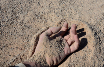 Unidentified attackers savagely murdered a child and gouged out his eyes; Malawian police began a manhunt Unidentified attackers savagely murdered a child and gouged out his eyes; Malawian police began a manhunt