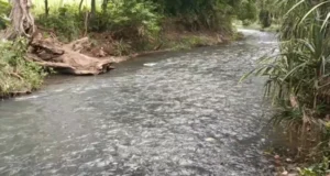 Tragedy at Gatitika Falls: Body of 15-Year-Old Joy Wanjiru Recovered After Days of Search Tragedy at Gatitika Falls: Body of 15-Year-Old Joy Wanjiru Recovered After Days of Search