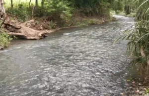 Tragedy at Gatitika Falls: Body of 15-Year-Old Joy Wanjiru Recovered After Days of Search Tragedy at Gatitika Falls: Body of 15-Year-Old Joy Wanjiru Recovered After Days of Search