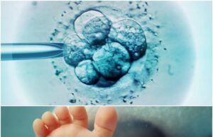 UK Confirms Birth of Eight ‘Three-Parent’ Babies Free of Mitochondrial Disease UK Confirms Birth of Eight ‘Three-Parent’ Babies Free of Mitochondrial Disease