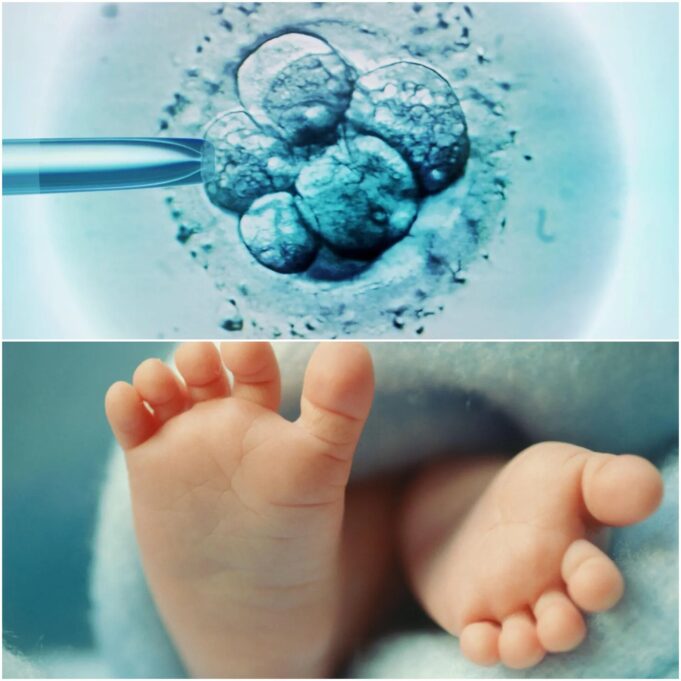 UK Confirms Birth of Eight ‘Three-Parent’ Babies Free of Mitochondrial Disease UK Confirms Birth of Eight ‘Three-Parent’ Babies Free of Mitochondrial Disease