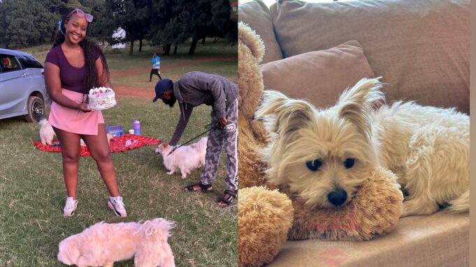 Gloria Kyallo Marks Dog’s 3rd Birthday with Outdoor Bash, Ex-Boyfriend Shows Up Gloria Kyallo Marks Dog’s 3rd Birthday with Outdoor Bash, Ex-Boyfriend Shows Up