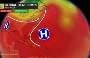 Record heat scorches multiple regions across globe Record heat scorches multiple regions across globe