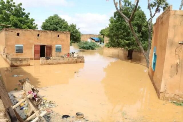 Niger: 47 dead and more than 56,000 affected by floods