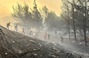 Around 1,000 evacuated due to wildfires in northwest Turkiye Around 1,000 evacuated due to wildfires in northwest Turkiye