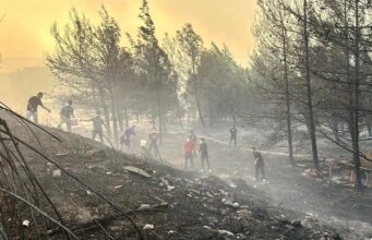 Around 1,000 evacuated due to wildfires in northwest Turkiye Around 1,000 evacuated due to wildfires in northwest Turkiye