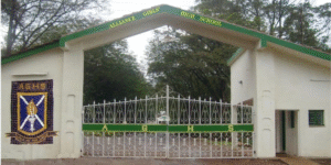 Alliance Girls Teacher Accused of Sexually Abusing Students Resigns