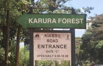 Karura Forest Entry Fees Rise Amid Fierce Management Dispute Karura Forest Entry Fees Rise Amid Fierce Management Dispute