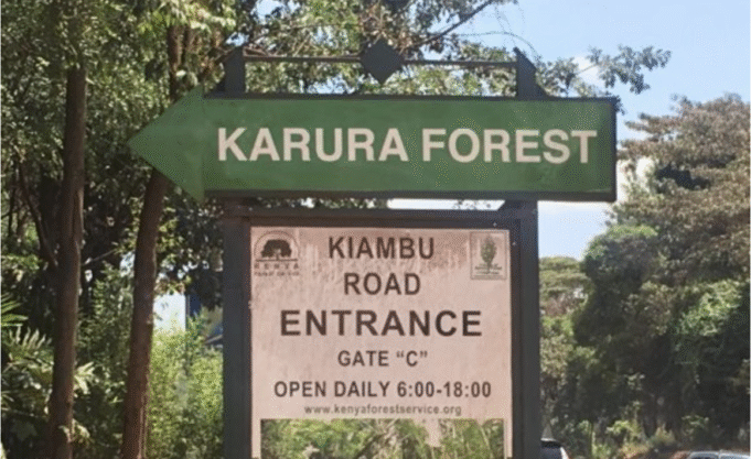 Karura Forest Entry Fees Rise Amid Fierce Management Dispute Karura Forest Entry Fees Rise Amid Fierce Management Dispute