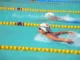Kenyan Swimming Stakeholders Urge Ruto for Equal Support Kenyan Swimming Stakeholders Urge Ruto for Equal Support