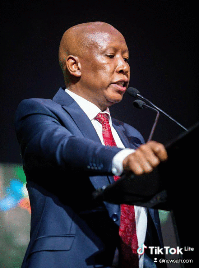 Julius Malema Found Guilty Of Hate Speech Over Rally Remarks, Says Equality Court