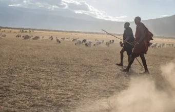 Maasai face pressure as Tanzania eyes relocations Maasai face pressure as Tanzania eyes relocations