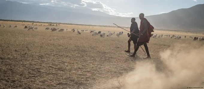 Maasai face pressure as Tanzania eyes relocations Maasai face pressure as Tanzania eyes relocations