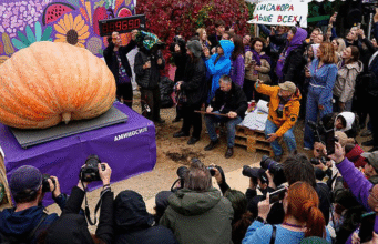Russian pumpkin smashes record at 969 kilos Russian pumpkin smashes record at 969 kilos