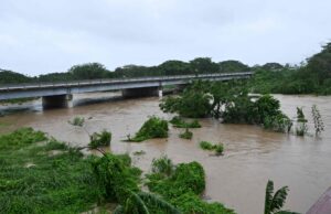 New danger for hurricane-hit Jamaica: wandering crocodiles