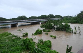 New danger for hurricane-hit Jamaica: wandering crocodiles