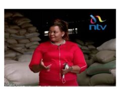 From Bakery Struggles to Millionaire CEO: The Rise of Lemafix Founder Josephine Njoroge From Bakery Struggles to Millionaire CEO: The Rise of Lemafix Founder Josephine Njoroge