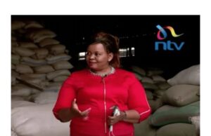 From Bakery Struggles to Millionaire CEO: The Rise of Lemafix Founder Josephine Njoroge From Bakery Struggles to Millionaire CEO: The Rise of Lemafix Founder Josephine Njoroge