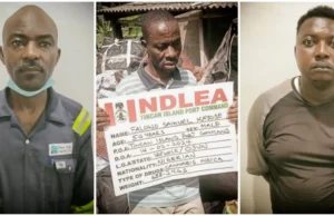 Police Report Exposes Nigerian Cartels Dominating South Africa’s Multi-million Drug Trade Police Report Exposes Nigerian Cartels Dominating South Africa’s Multi-million Drug Trade