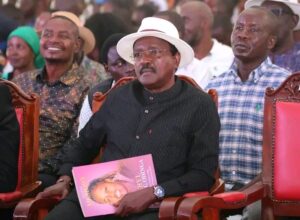 Photo Courtesy Kalonzo Musyoka 