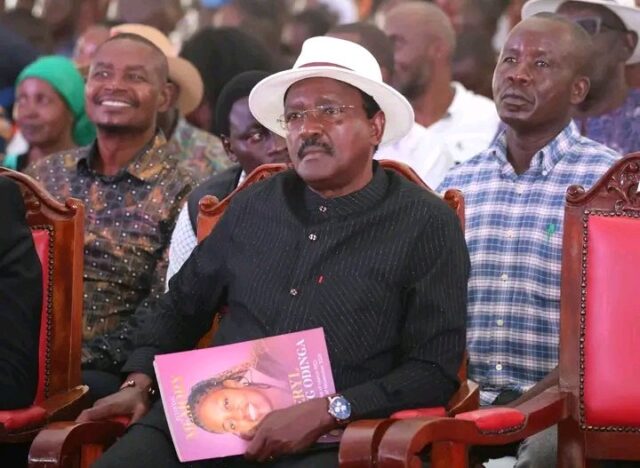 Photo Courtesy Kalonzo Musyoka