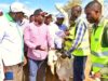 Farmers Now Open Up Expose How the Recent Goat Selling Event Attending by President Ruto Quickly Turned into Corruption Zone President Ruto/ Goat Selling Event/ Photo Courtesy