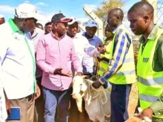 Farmers Now Open Up Expose How the Recent Goat Selling Event Attending by President Ruto Quickly Turned into Corruption Zone President Ruto/ Goat Selling Event/ Photo Courtesy