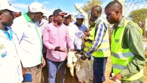President Ruto/ Goat Selling Event/ Photo Courtesy 