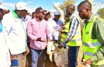Farmers Now Open Up Expose How the Recent Goat Selling Event Attending by President Ruto Quickly Turned into Corruption Zone President Ruto/ Goat Selling Event/ Photo Courtesy