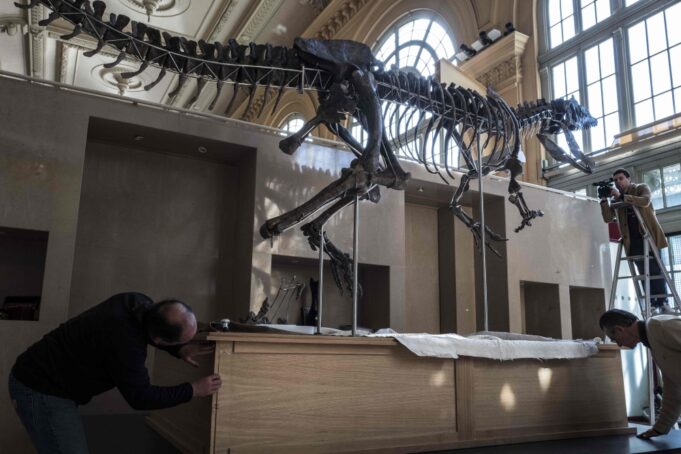 France to return smuggled dinosaur skeleton to Mongolia France to return smuggled dinosaur skeleton to Mongolia