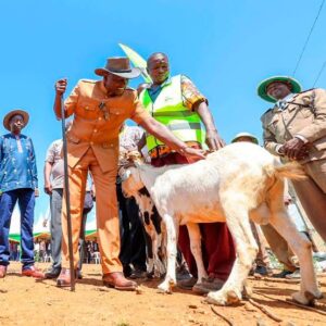 President Ruto/ Goat Selling Event/ Photo Courtesy 