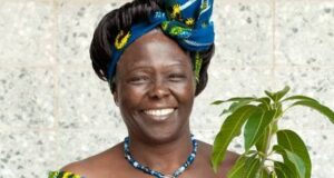 5 Well-Known Kenya Politicians Whose Marriages Collapsed Due to Political Differences 5 Well-Known Kenya Politicians Whose Marriages Collapsed Due to Political Differences