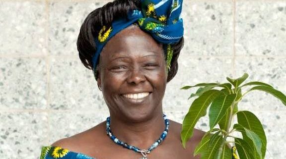 5 Well-Known Kenya Politicians Whose Marriages Collapsed Due to Political Differences 5 Well-Known Kenya Politicians Whose Marriages Collapsed Due to Political Differences